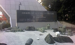101.JPG